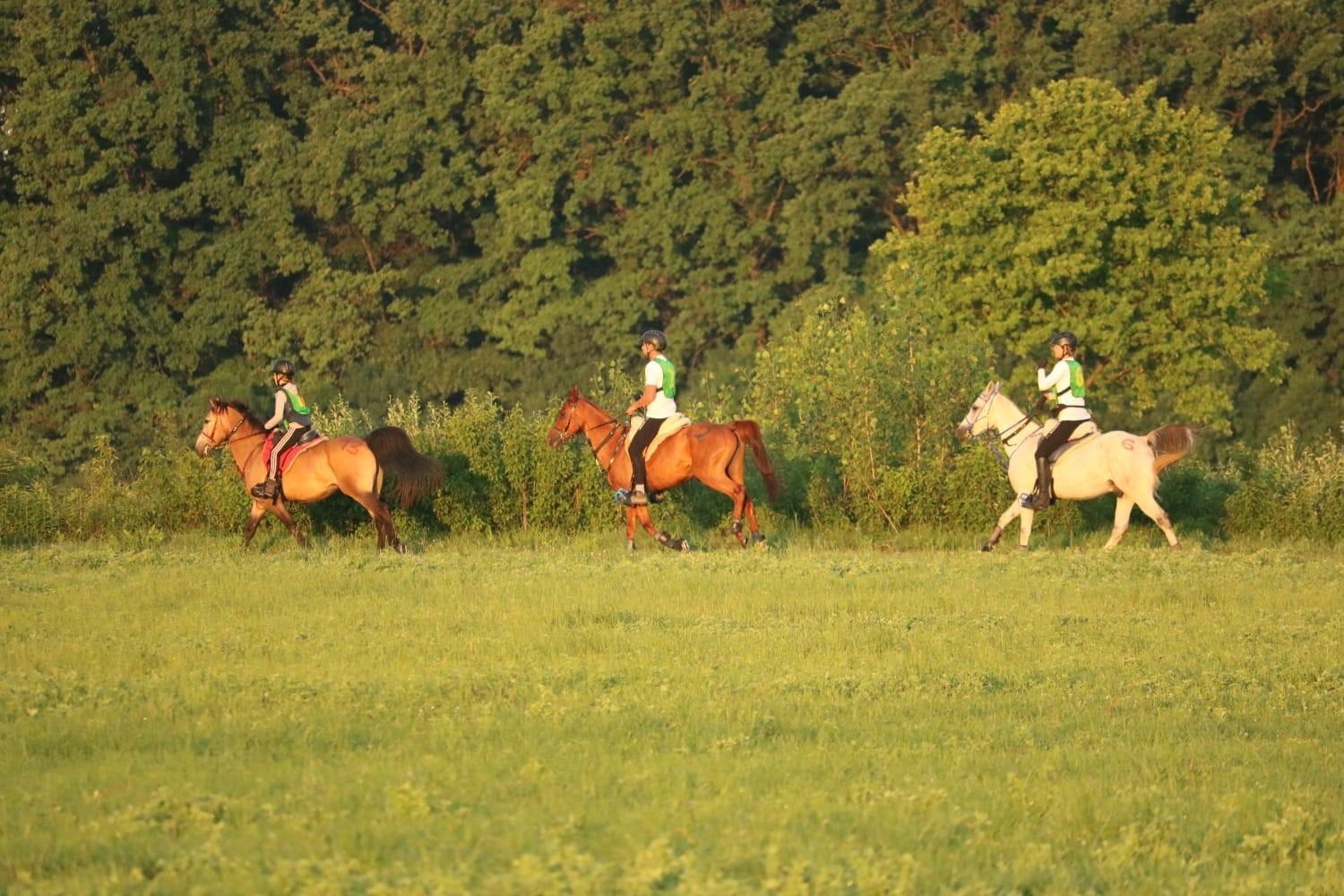 Ranc Ramarin Villa Garcin Buitenkant foto